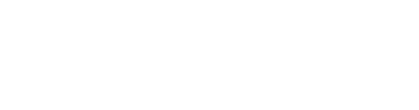 Florian Gyger Software Logo